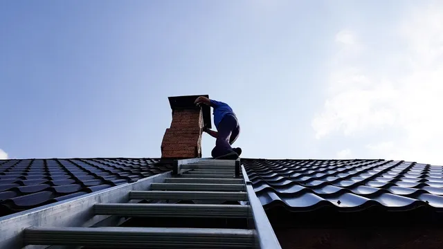 Chimney sweep inspecting a residential flue